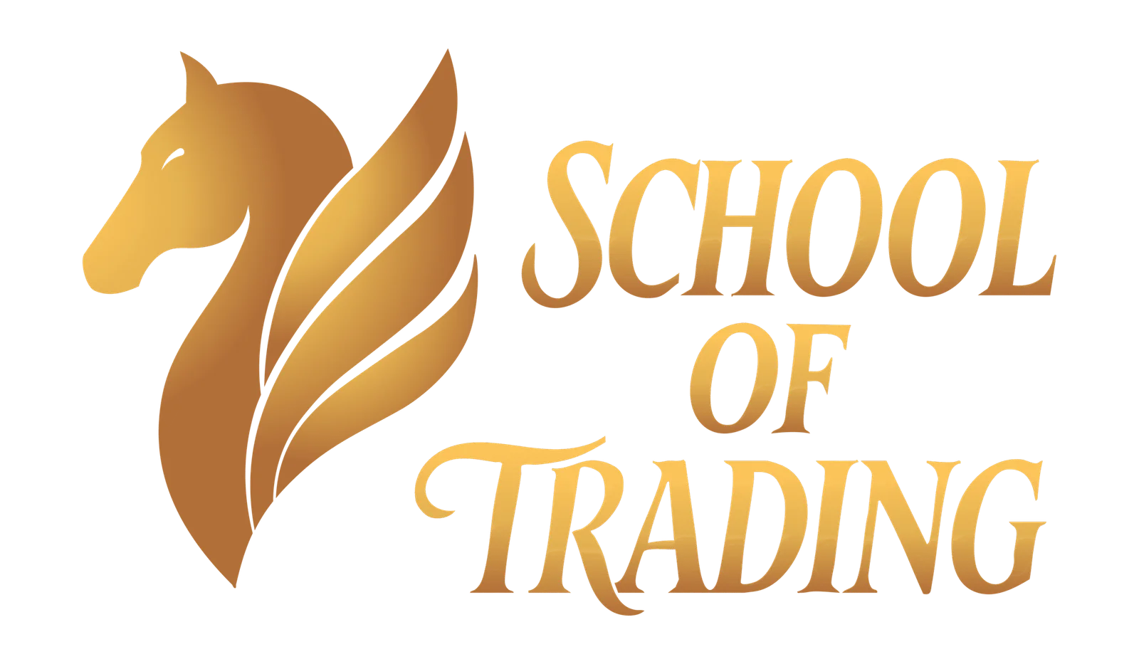 School of Trading — trading education, mentorship & community